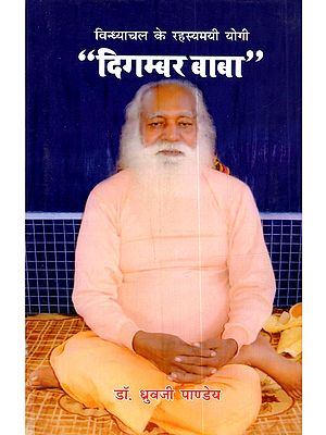 विन्ध्याचल के रहस्यमयी योगी दिगम्बर बाबा: Vindhyachal Ke Rahasyamayi Yogi Digambar Baba