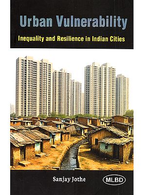 Urban Vulnerability: Inequality and Resilience in Indian Cities