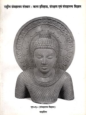 राष्ट्रीय संग्रहालय संस्थान : कला इतिहास, संरक्षण एवं संग्रहालय विज्ञान- National Museum Institute: Art History, Conservation and Museology