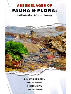 Assemblages of Fauna & Flora: An Illustration of Coastal Ecology