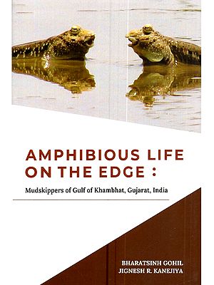 Amphibious Life on the Edge: Mudskippers of Gulf of Khambhat, Gujarat, India
