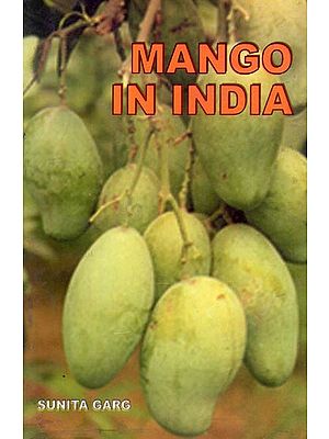 Mango in India