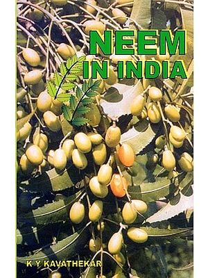 Neem in India