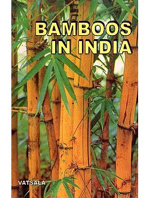 Bamboos in India