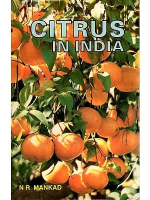 Citrus in India (An Old and Rare Book)