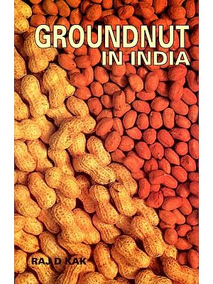 Groundnut in India