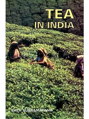 Tea in India