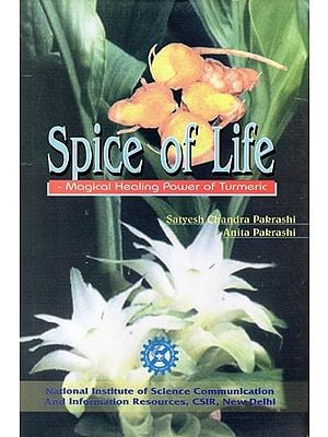 Spice of Life- Magical Healing Power of Turmeric