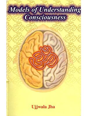 Models of Understanding Consciousness