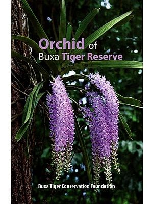 Orchid of Buxa Tiger Reserve