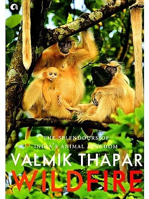 Wild Fire (The Splendours of India's Animal Kingdom)