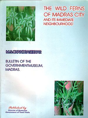 The Wild Ferns of Madras City and its Immediate Neighbourhood (Bulletin of the Government Museum, Madras- New Series - Natural History Section, Vol. VIII, No.1) An Old and Rare Book