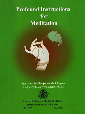 Profound Instructions for Meditation