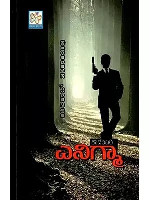 ఎనిగ్మా ಕಾದಂಬರಿ: Enigma (Telugu)