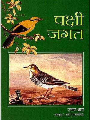 पक्षी जगत: Watching Birds (Marathi)