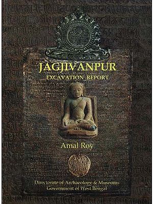 Jagjivanpur - 1996-2005 Excavation Report