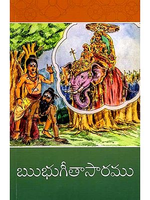 ఋభుగీతాసారము: Ribhu Gitasaramu (Telugu)