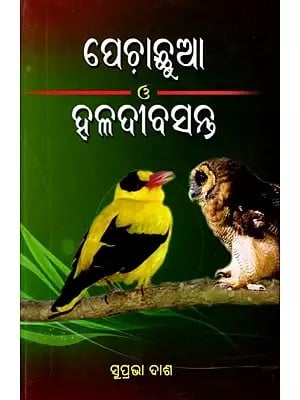 ପେଚାଛୁଆ ও ହଳଦୀବସନ୍ତ: Pilanka Gapa: Pechachhua 'O' Haladibasanta (Oriya)