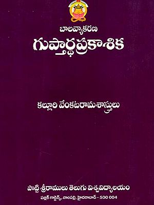 బాల వ్యాకరణ గుప్తార్థ ప్రకాశిక: Bala Vyakarana Guptardha Prakasika (Telugu)