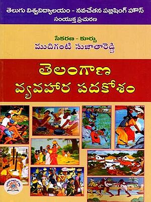 తెలంగాణ వ్యవహార పదకోశం: Telangana Vyavahara Padakosham (Telugu)