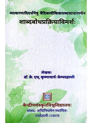 शाब्दबोधप्रक्रियाविमर्शः- Sabdabodhaprakriyavimarsah: Vyakaranadidarsanesu Vaidikalaukikasabdasadharanyena