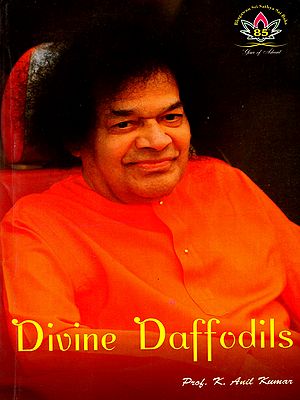 Divine Daffodils- Sunday Morning Talks