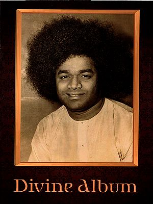 Divine Album (Glossy Papers)