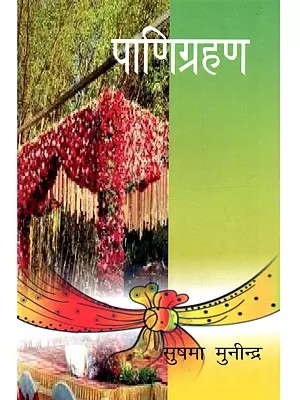 पाणिग्रहण: Paanigrahan (Hindi Story Collection)