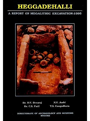 Heggadehalli: A Report on Megalithic Excavation: 1995 (An Old and Rare Book)