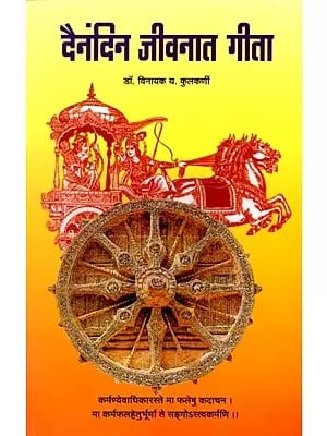 दैनंदिन जीवनात गीता: Dainandin Jeevanat Geeta (Marathi)