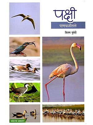पक्षी पाणथळीतले: Birds in the Water (Marathi)