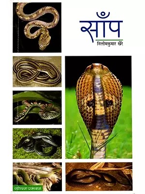 साँप: Snake