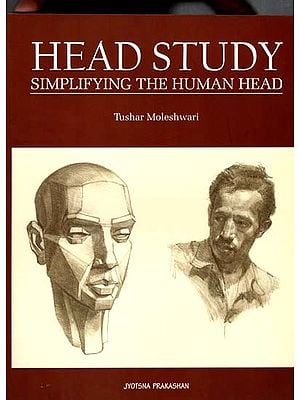 Head Study (Simplifying the Human Head)
