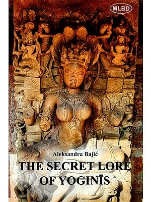 The Secret Lore of Yoginis- Astronomical Knowledge Woven into the Teachings of Tantra
