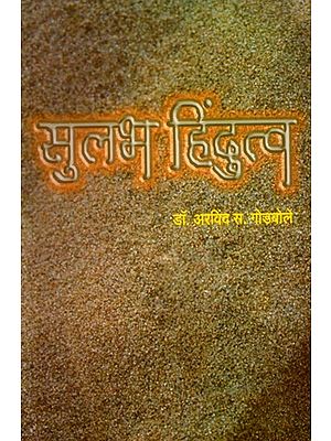 सुलभ हिंदुत्व- Sulabh Hinduttva (Marathi)