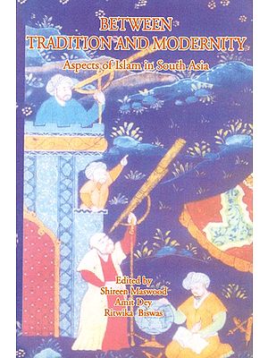 Between Tradition and Modernity- Aspects of Islam in South Asia (Collection of Essays)