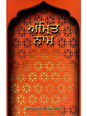 ਅੰਮ੍ਰਿਤ ਨਾਮ: Amrit Nam (Punjabi)