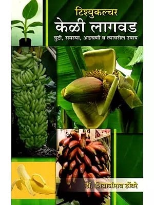 टिश्युकल्चर केळी लागवड (त्रुटी, समस्या, अडचणी व त्यावरील उपाय): Tissuculture Keli Lagwad (Truti, Samasya, Adchani va Tyavaril Upay) - Marathi