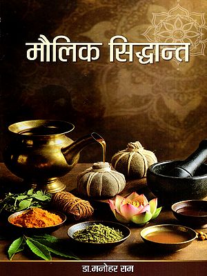 मौलिक सिद्धान्त: Maulik Siddhant