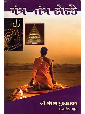 મંત્ર-તંત્ર ટોટકે: Mantra-Tantra Totake (Gujarati)