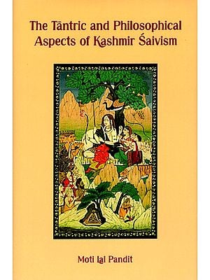 The Tantric and Philosophical Aspects of Kashmir Saivism