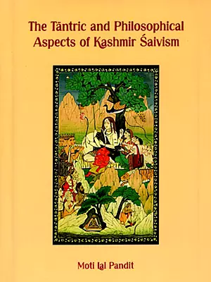 The Tantric and Philosophical Aspects of Kashmir Saivism