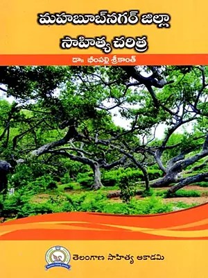 మహబూబ్నగర్ జిల్లా సాహిత్య చరిత్ర: Mahabubnagar Jilla Sahitya Charitra (Telugu)