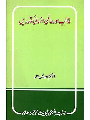 غالب اور عالمی انسانی قدریں- Ghalib Aur Aalami Insani Qadrein (Urdu)