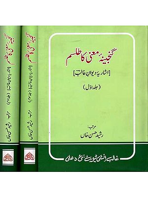 شاریہ دیوان غالب گنجینۂ معنی کا طلسم: Ganjeena-E-Maani Ka Tilism in Urdu (Set of 3 Volumes)