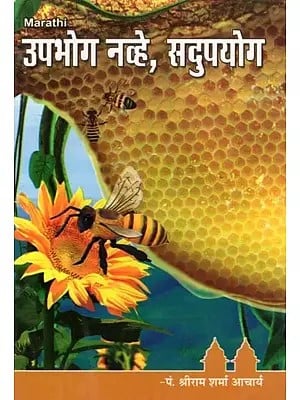 उपभोग नव्हे, सदुपयोग- Upabhog Navhe Sadupayog (Marathi)