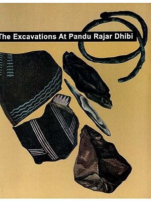 The Excavations at Pandu Rajar Dhibi