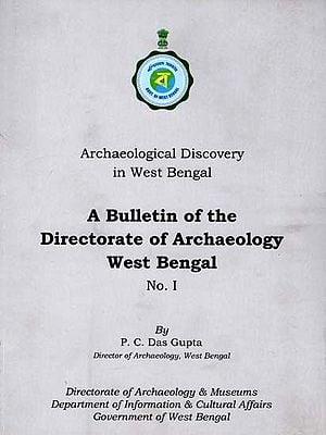 History of Archaeology Books