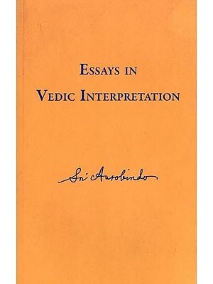 Essays in Vedic Interpretation