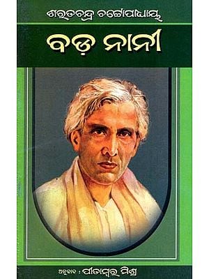 ବଡ଼ନାନୀ: Badanani in Oriya (Novel)